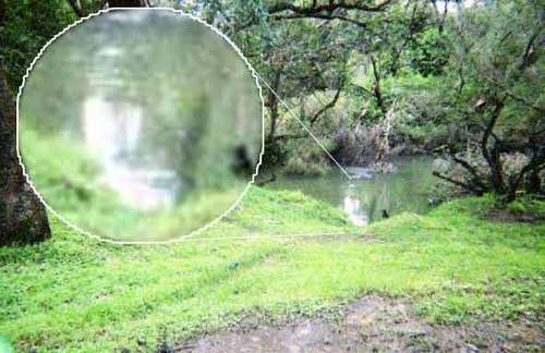ghost picture